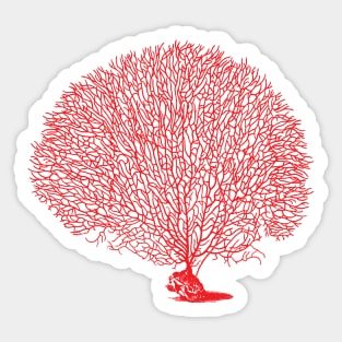 Red Sea Fan Coral Sticker